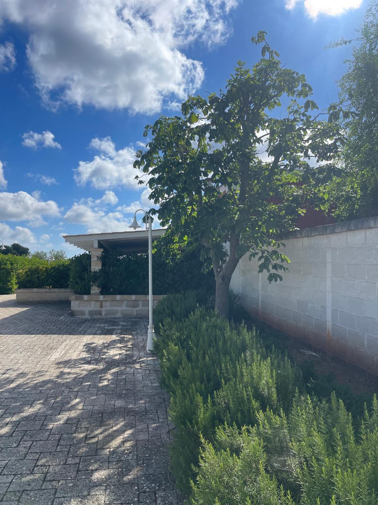 Masseria Don Bonifacio 카스텔라나그로테 외부 사진