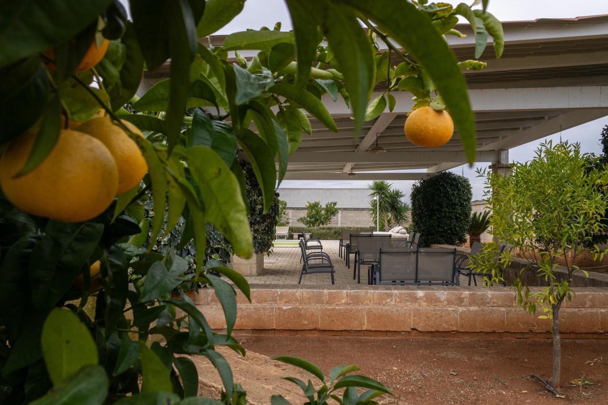Masseria Don Bonifacio 카스텔라나그로테 외부 사진